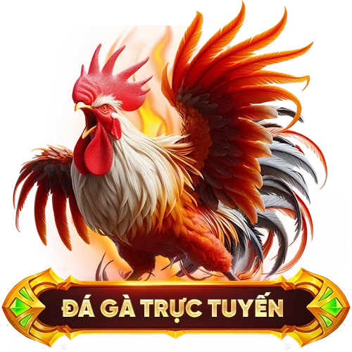 đá gà trực tuyến 789BET